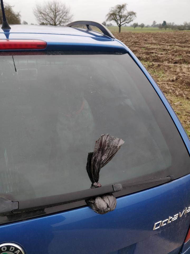 26731296_1603848349652165_8116517308750696584_n